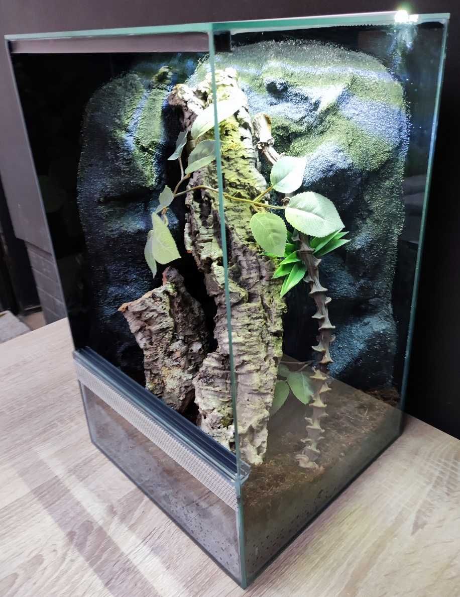 Terrarium szklane nr38 30/30/50 dla gekona orzęsionego, żab DOSTĘPNE