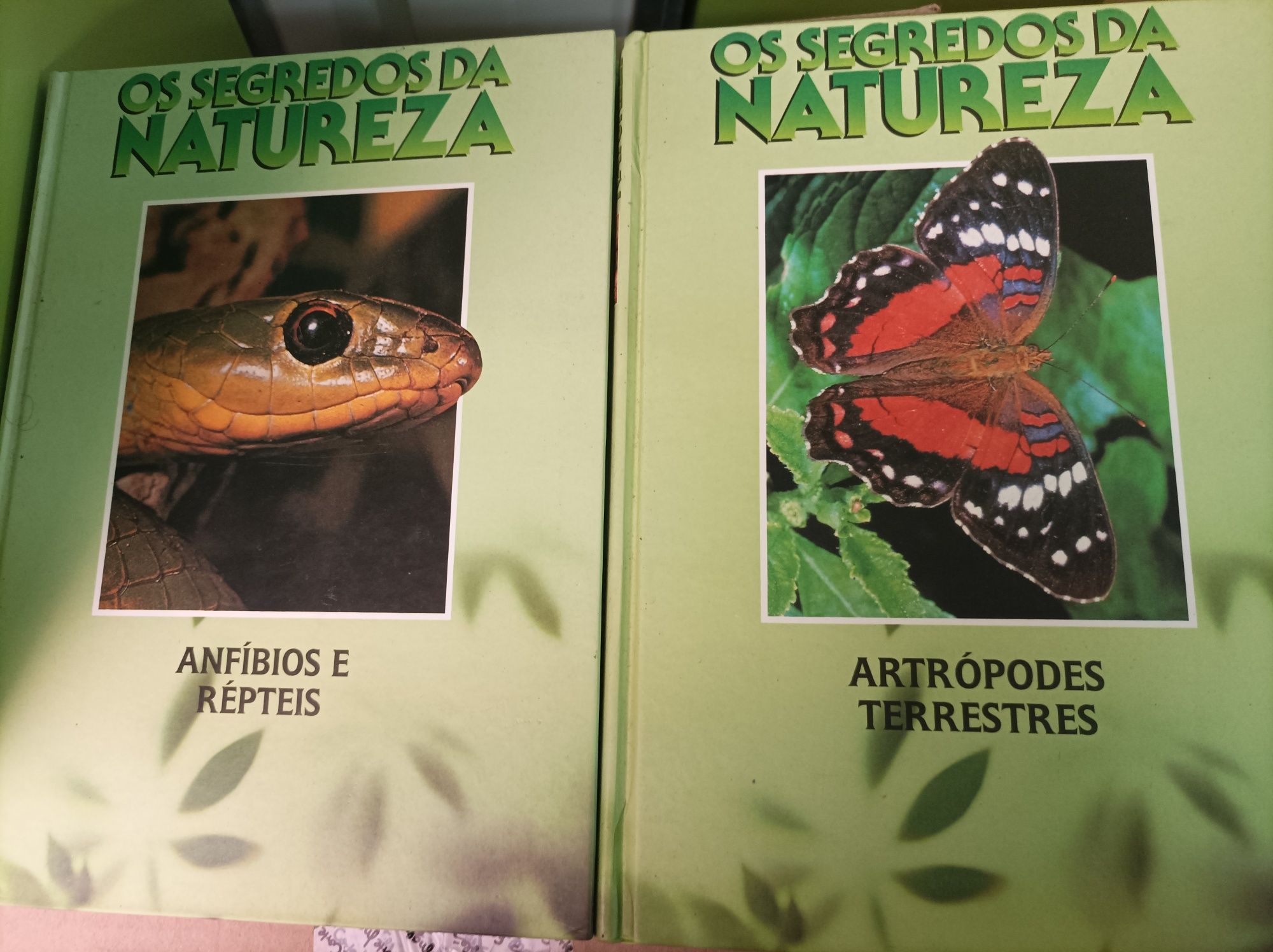 Coleção Livros 'Os Segredos da Natureza '