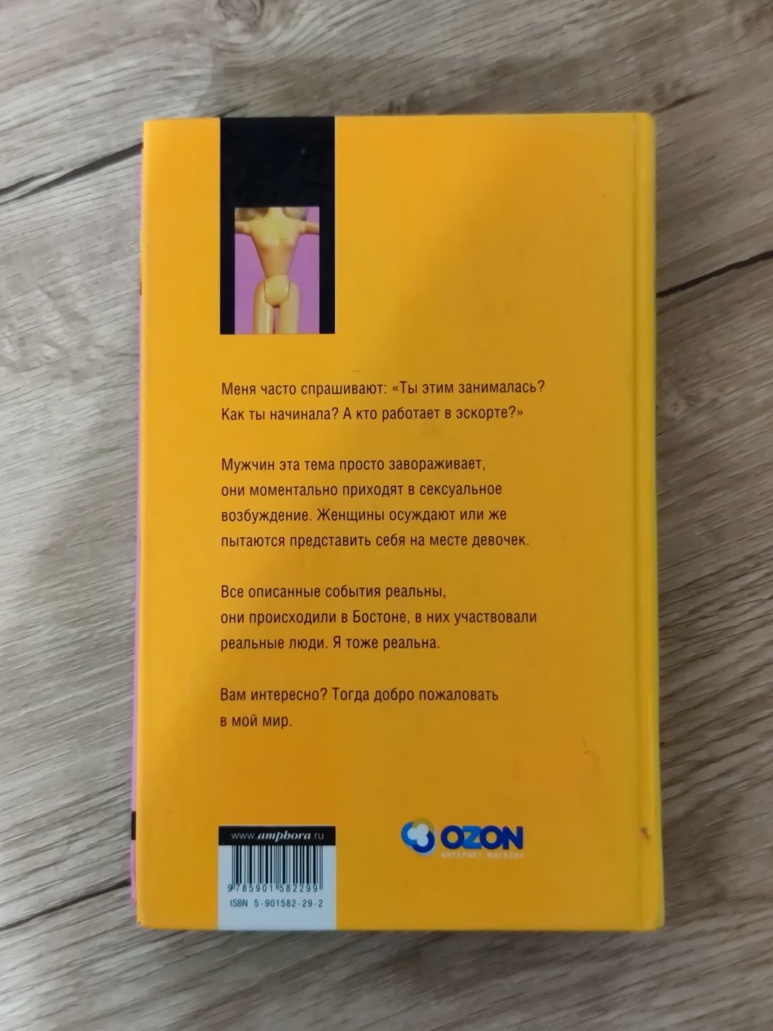 Девочка по вызову, Джаннетт Энджелл, книга