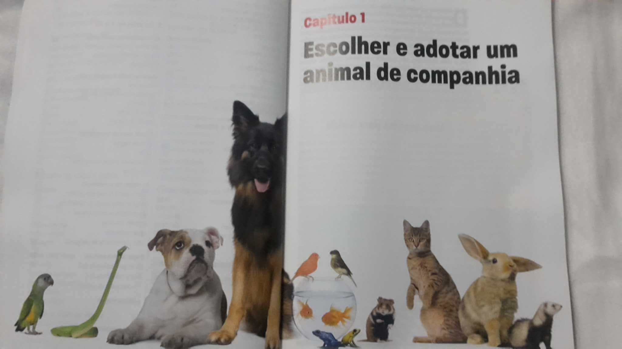 CAES GATOS E OUTRAS Companhias. Conselhos 192 Pag. 6 Fotos