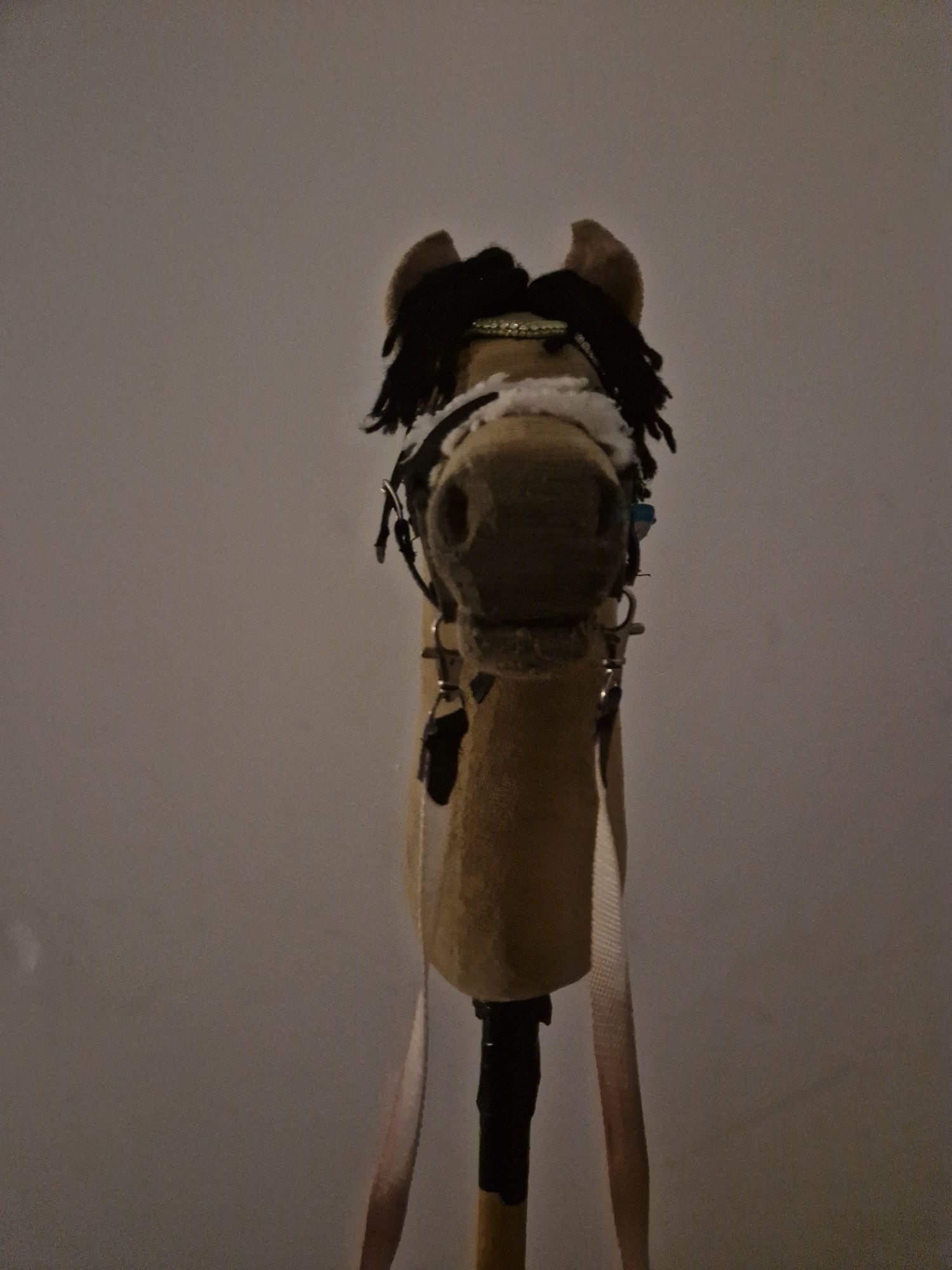 Hobby horse hodowli kll