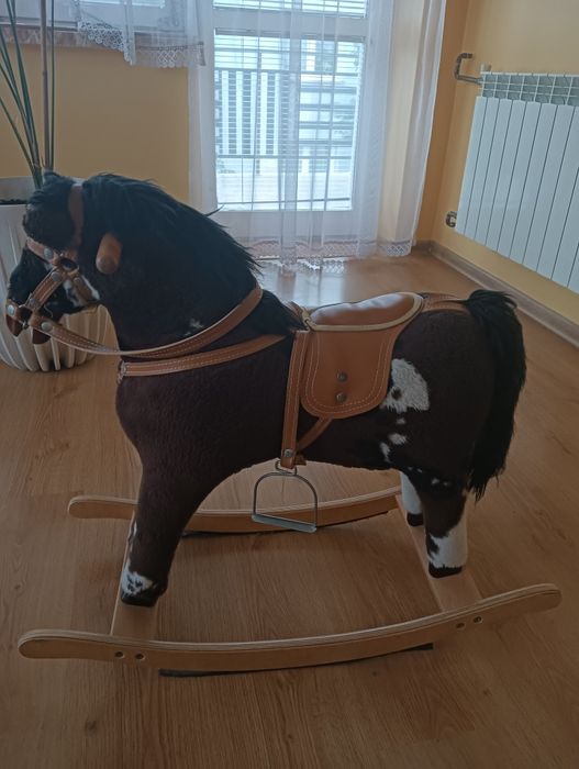 Konik na biegunach. Wyłącznie odbiór osobisty.