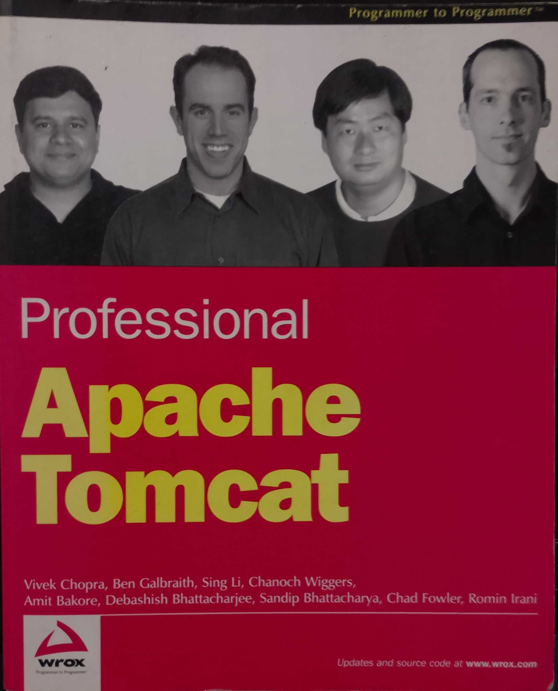 Professional Apache Tomcat - Programmer to Programmer
