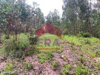 Terreno com 2280m2