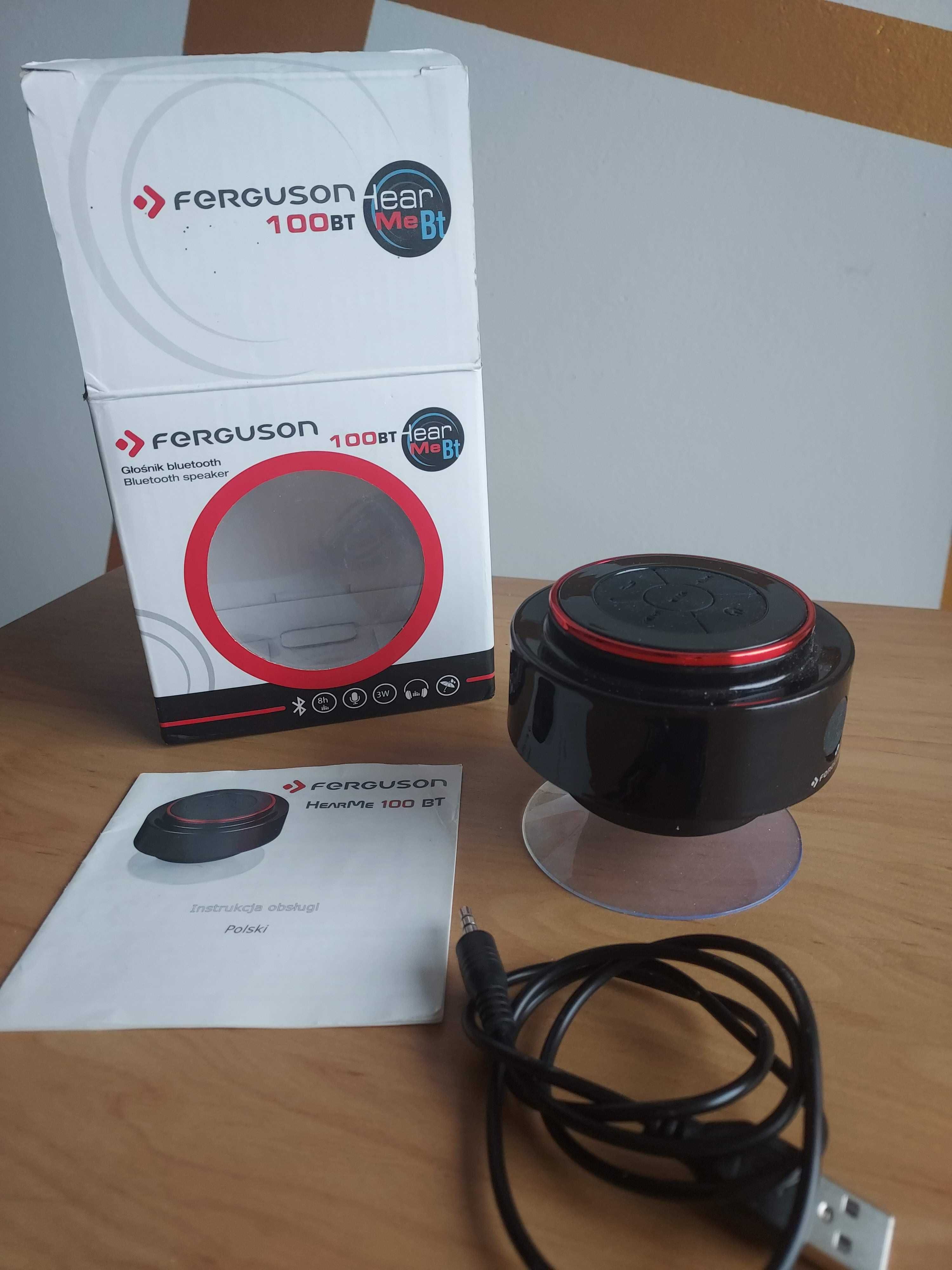 Głośnik bluetooth- Ferguson 100BT