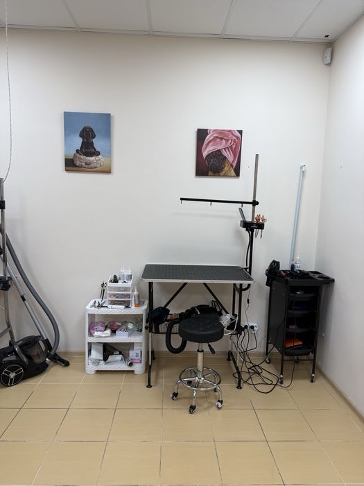 Ванна, стіл для грумінгу