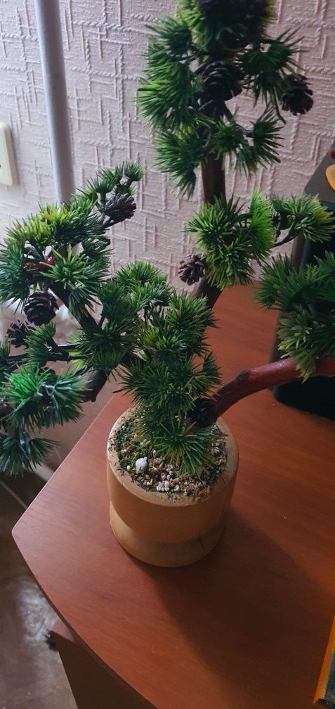 Продам декоративное дерево