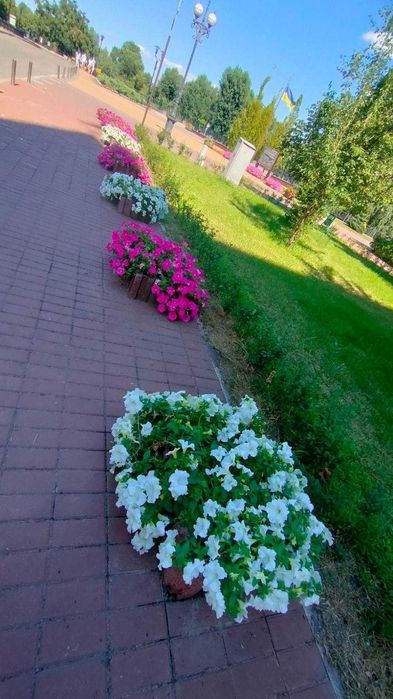 ЖК Оазис,3-к квартира просп.В.Івасюка,набережна,парк Наталка