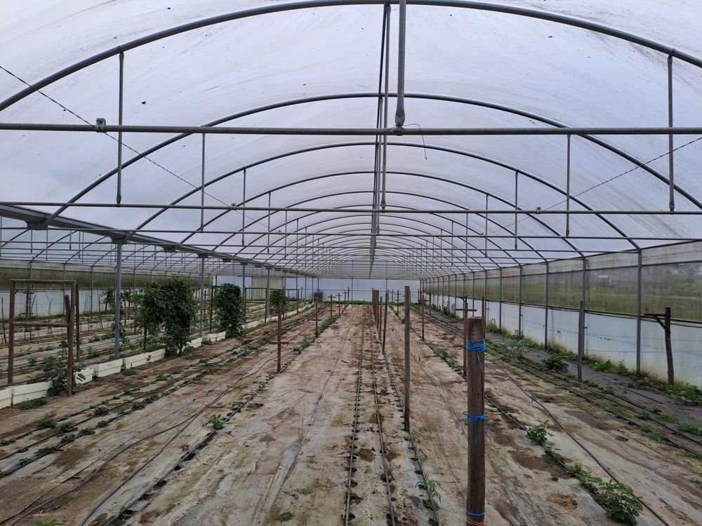 Estufa como nova 20x50m