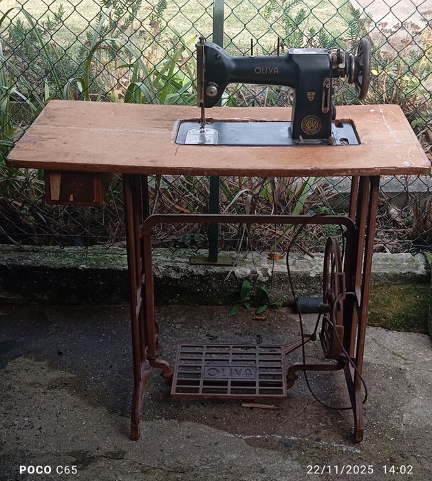 Máquina costura oliva