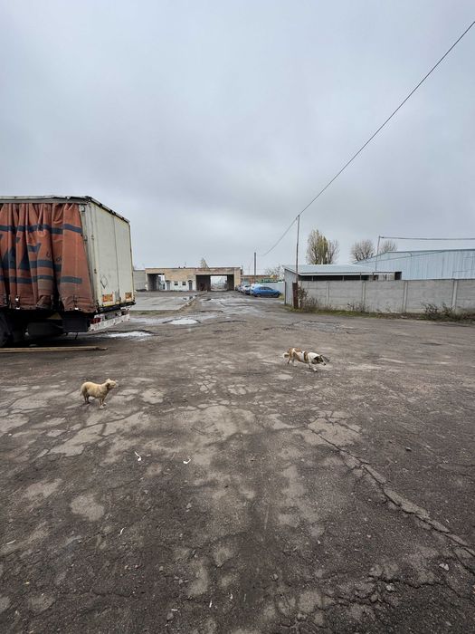 Комерційне приміщення під склад/виробництво в мікрорайоні "Зелений"
