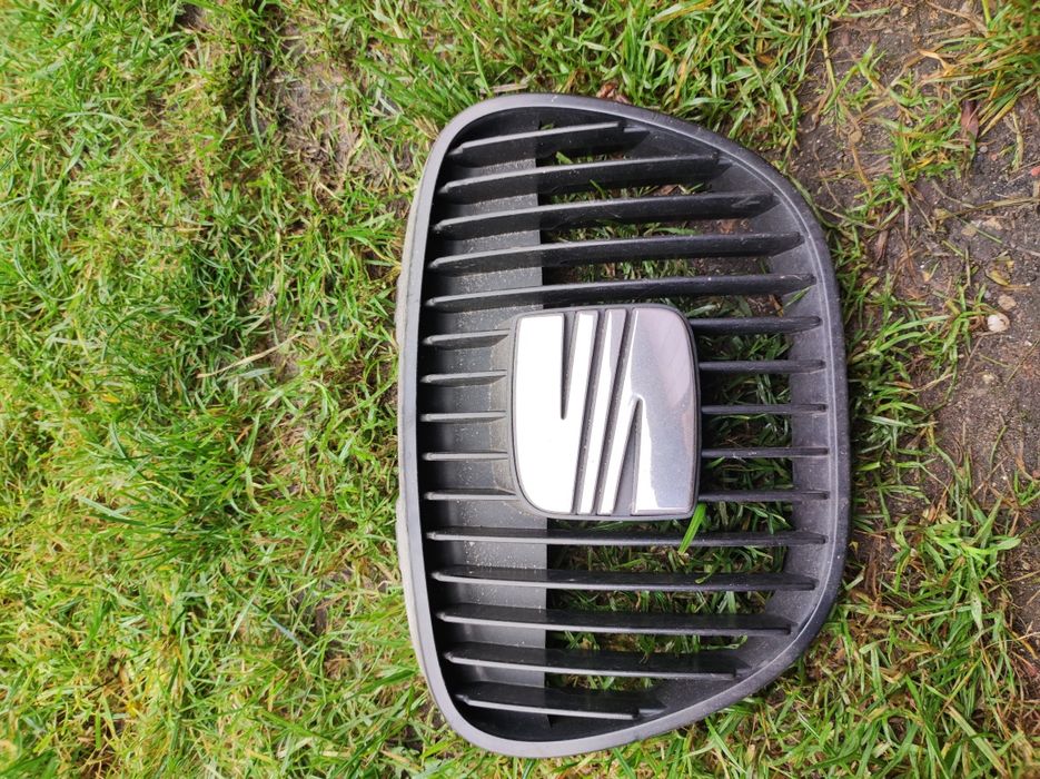 Grill atrapa Ibiza/leon 2