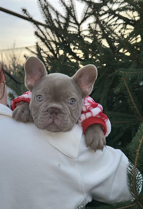 Новотипний міні хлопчик