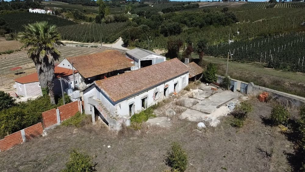 Quinta em Alcobacaça (Cela) 8350m2