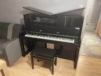 Pianino Bohemia C.Bechstein