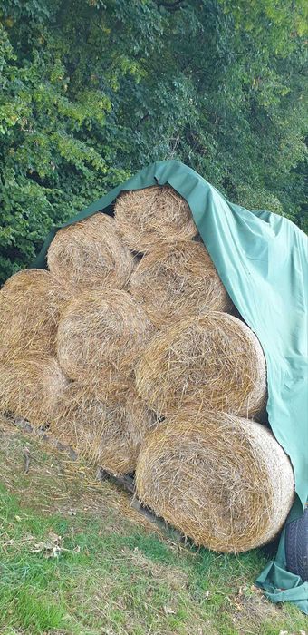 Siano  Słoma w balach baloty bale bele suche tegoroczne Okolice Grybów