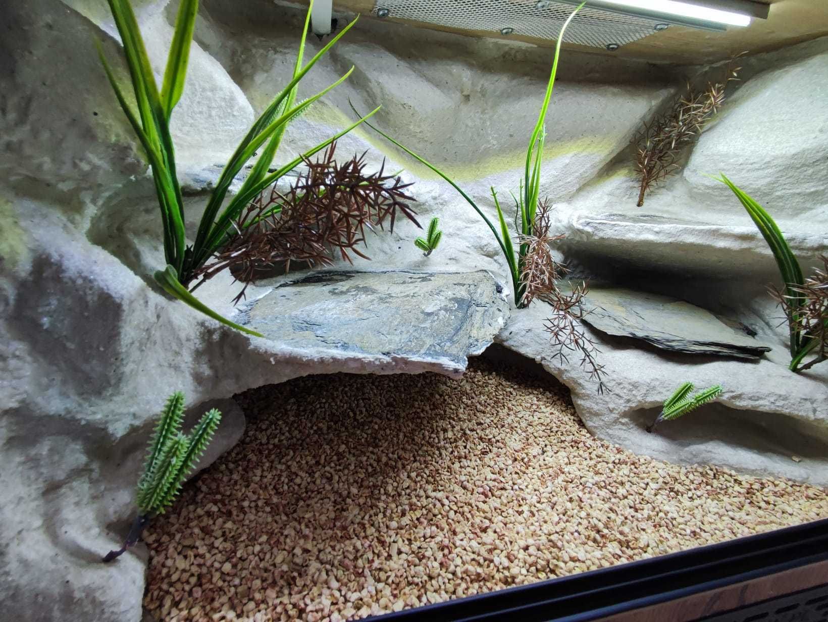 Terrarium pustynne nr635 60/40/40 dla gekona lamparciego NA ZAMÓWIENIE