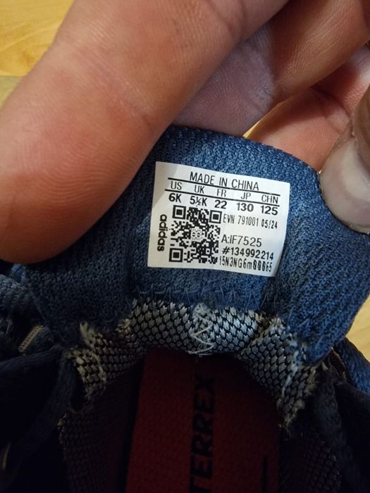 Дитячі черевики для хлопчика adidas Terrex Mid GTX