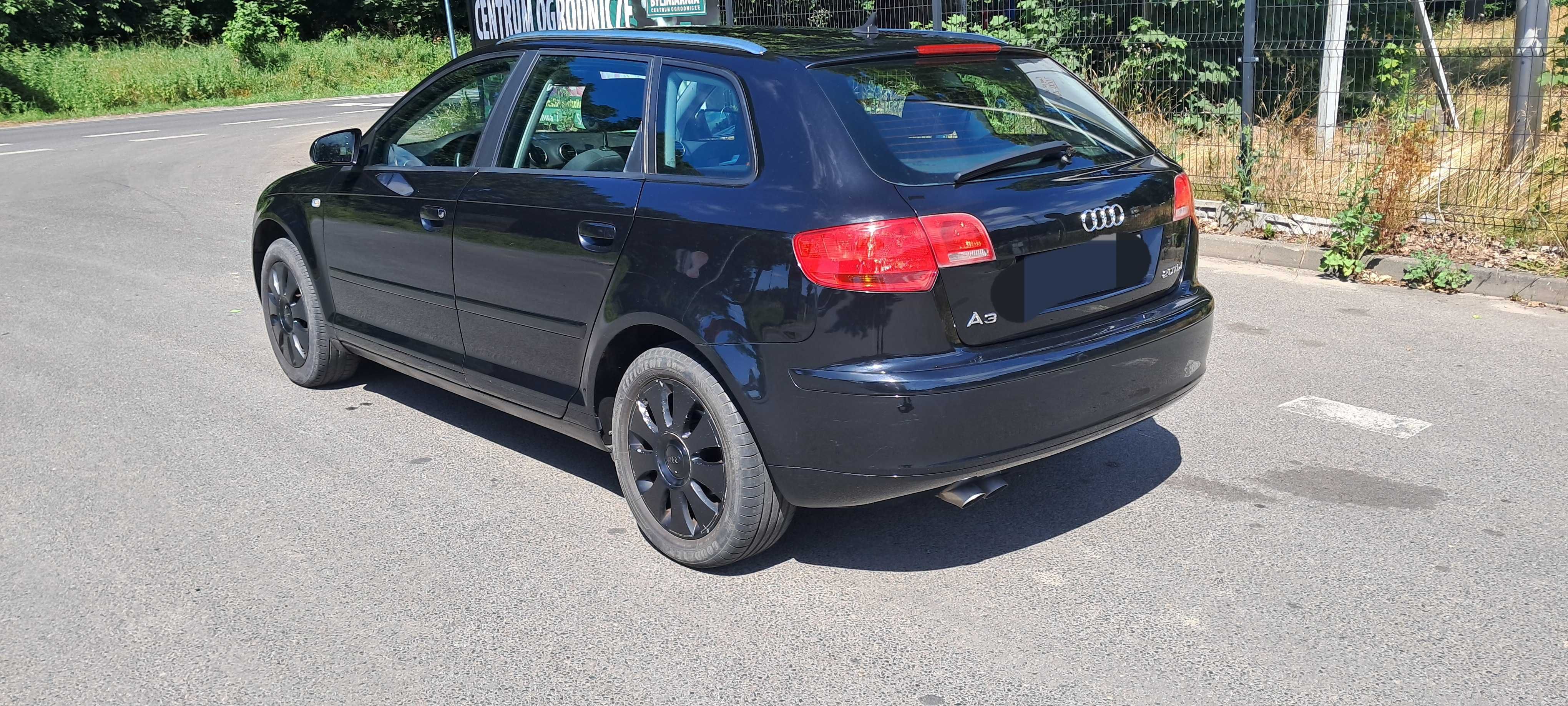 Audi A3 8P 2.0 TDI
