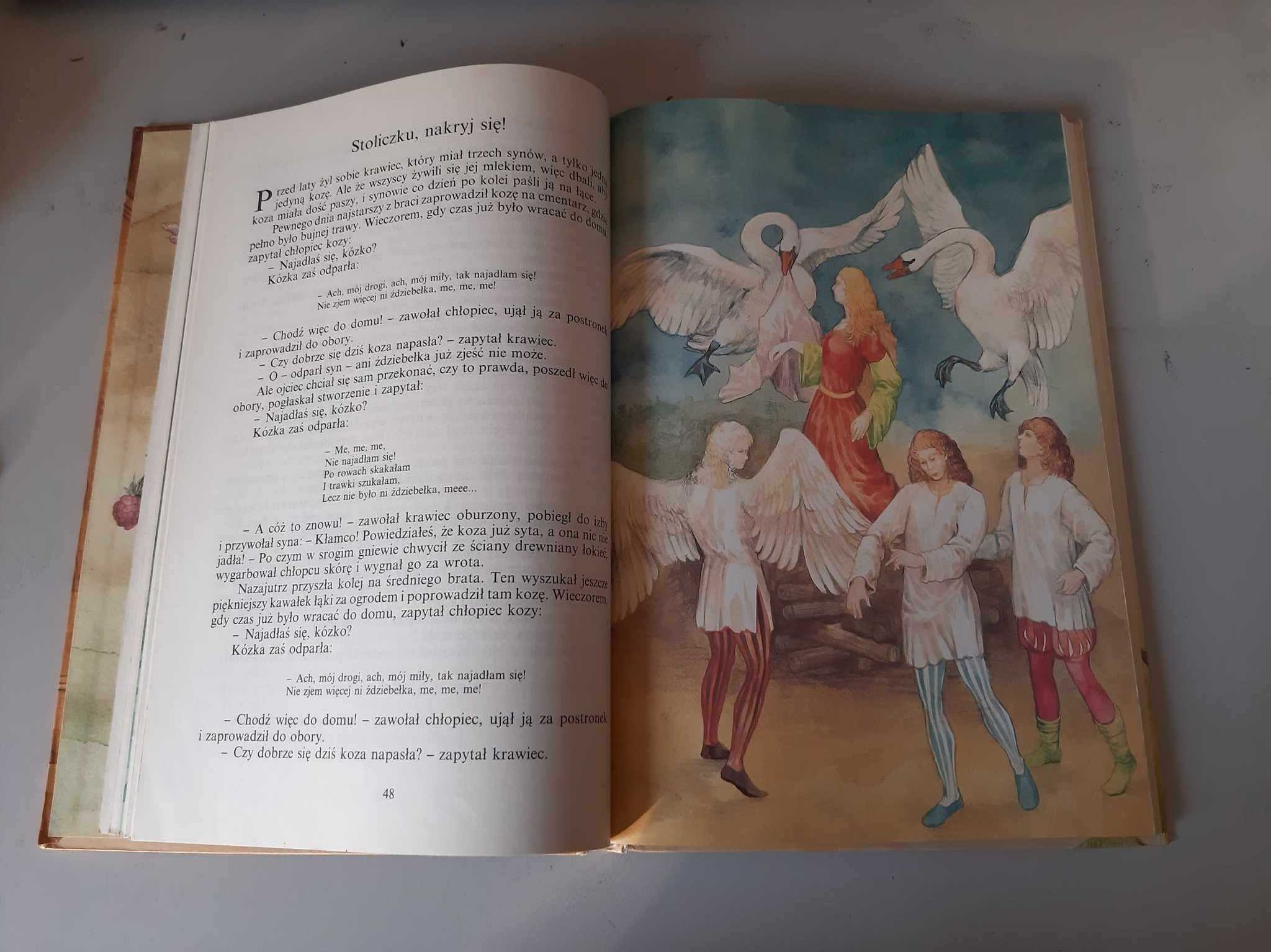 J. W. Grimm - Baśnie (wybór) | książka dla dzieci
