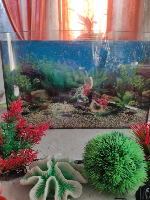 Аквариум 25л + полный комплект для содержания.