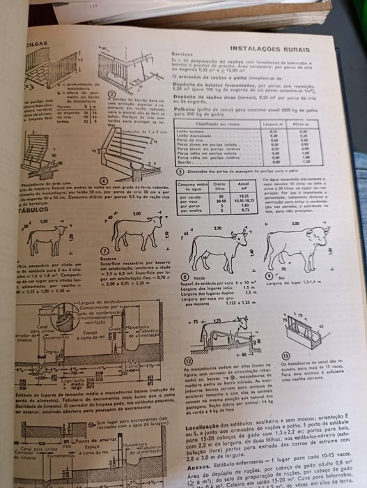 Arte de projetar em arquitetura