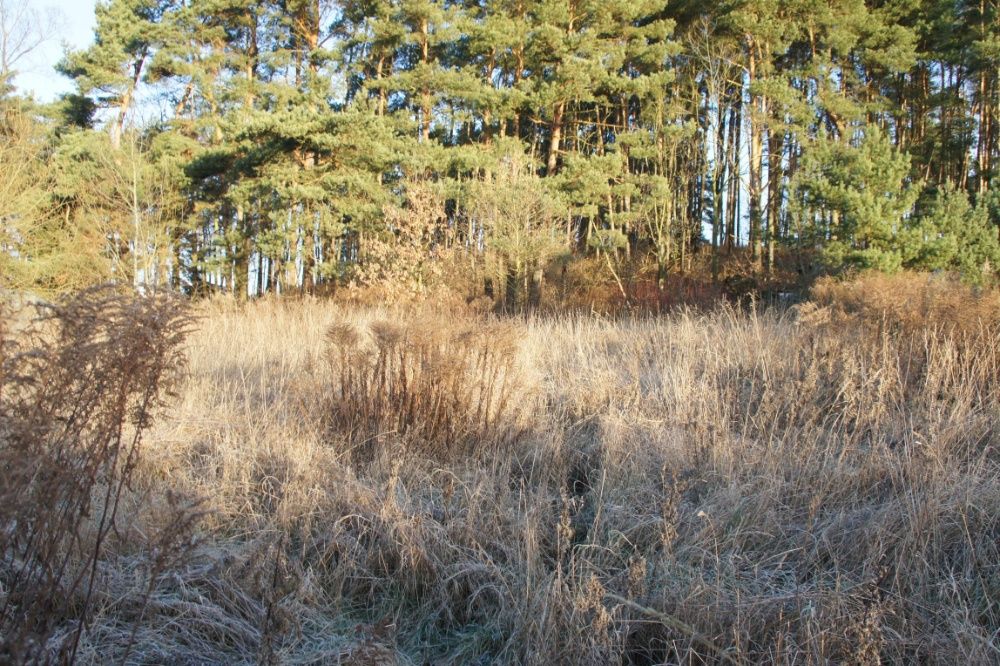 Sprzedam działkę w Gronowie Górnym