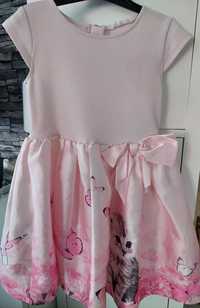 Sukienka H&M różowa kotki 110/116