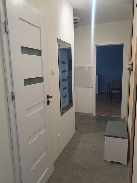 Wynajme mieszkanie 2 pok,1 pietro , niski czynsz ,po remoncie okazja