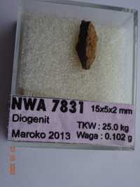 264 meteoryt NWA 7831 diogenit! 0.15 g.