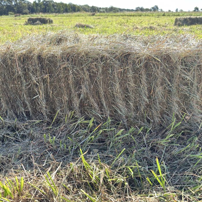 Продам тюки з готави