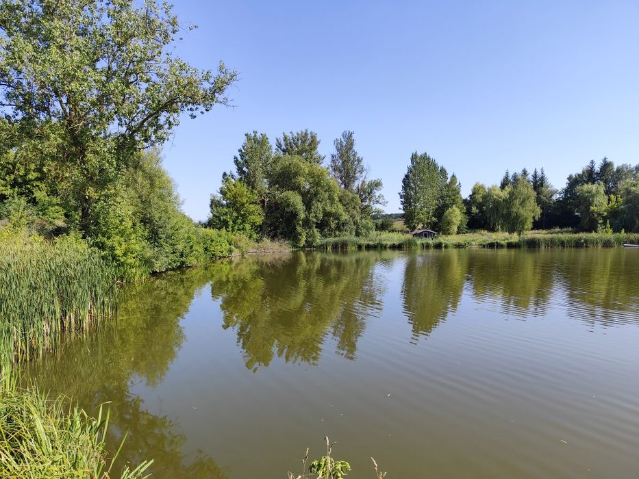 Дача с.Романівка