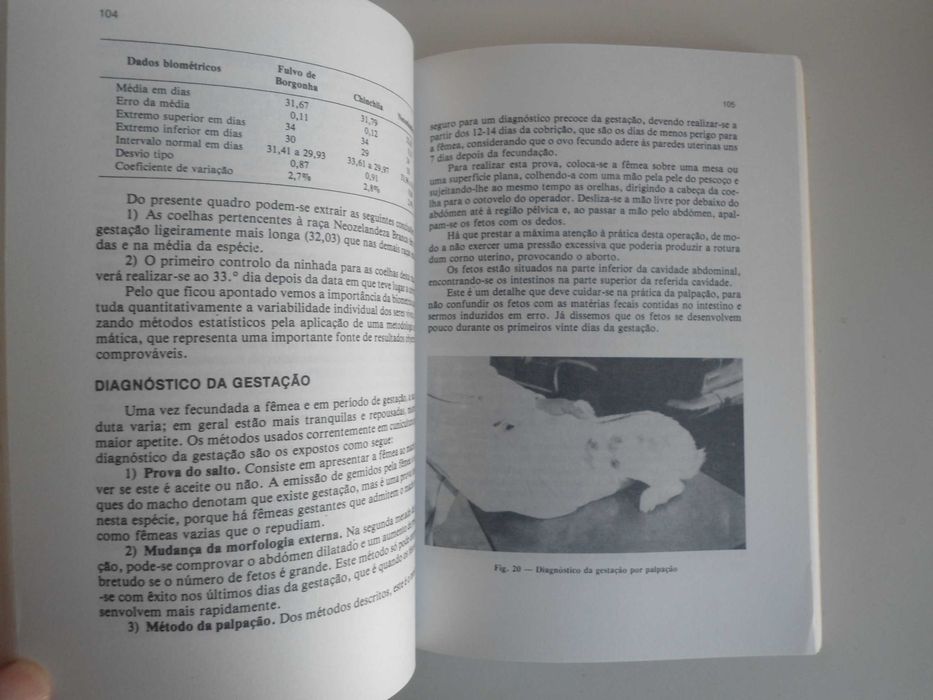 Coelhos-Alojamento e Maneio de J M Molinero Zapatero