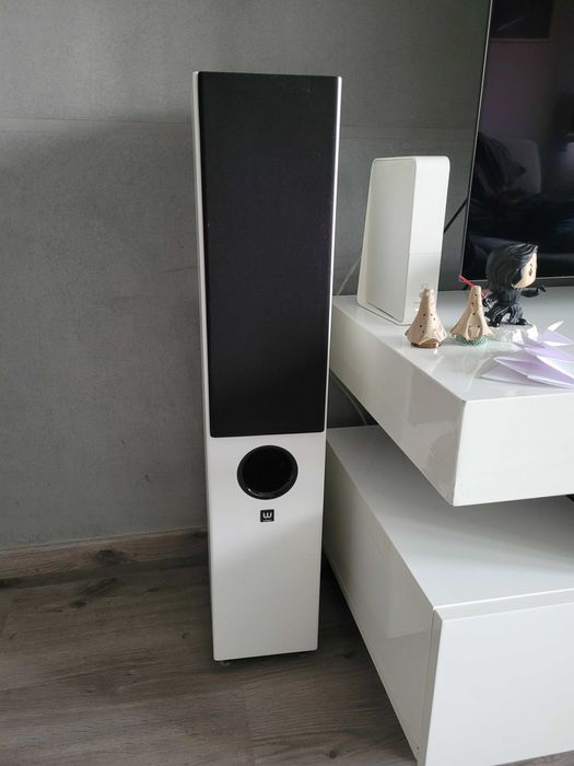 Wilson raptor 5, kolumna głośnikowa, dwie kolumny, biały kolor