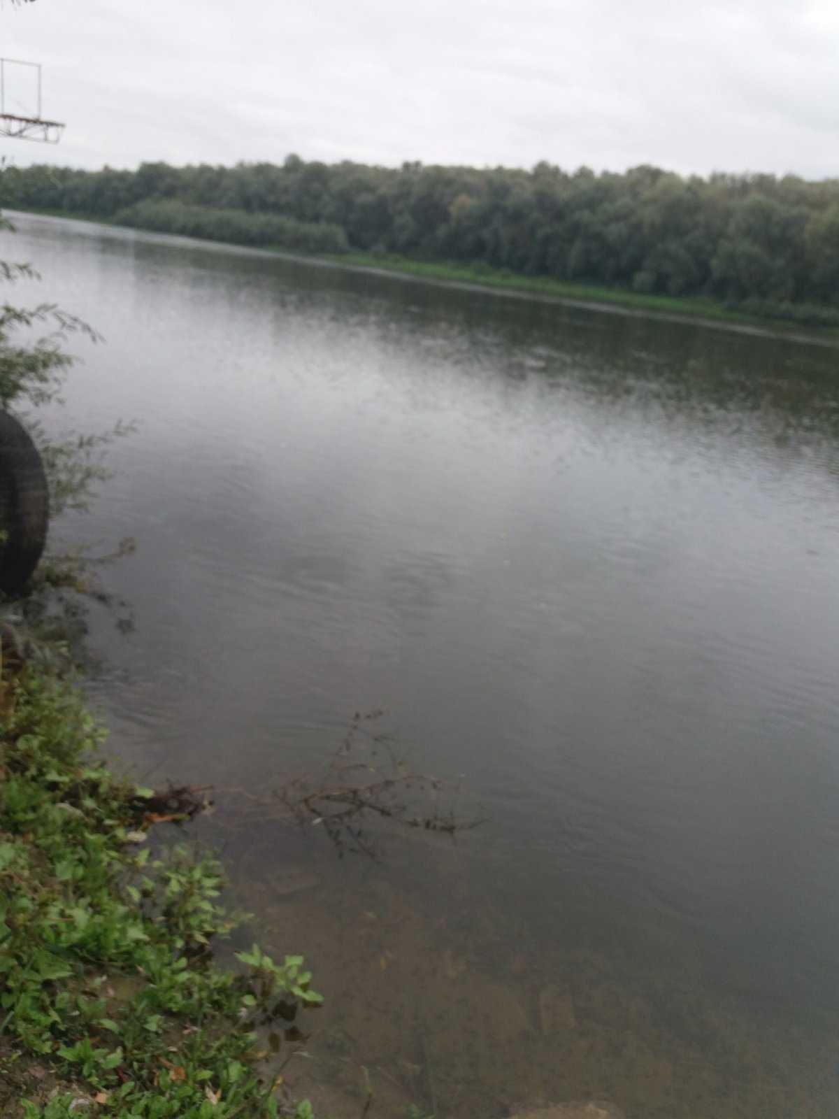 Продам приватизовану ділянку землі над річкою Десна з Боромики