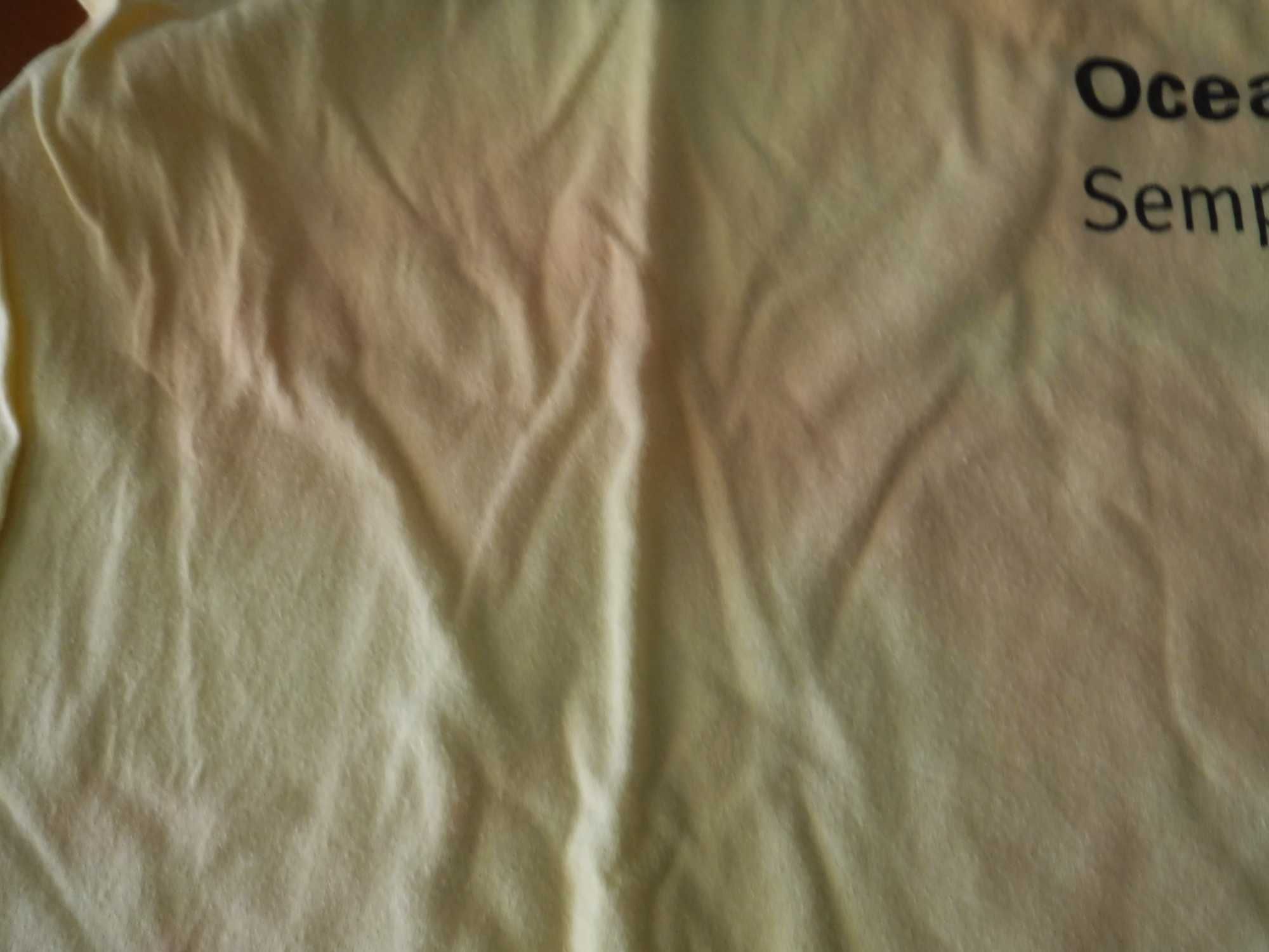 T-shirt do Oceanário manchada - Ao estilo Greenwashing