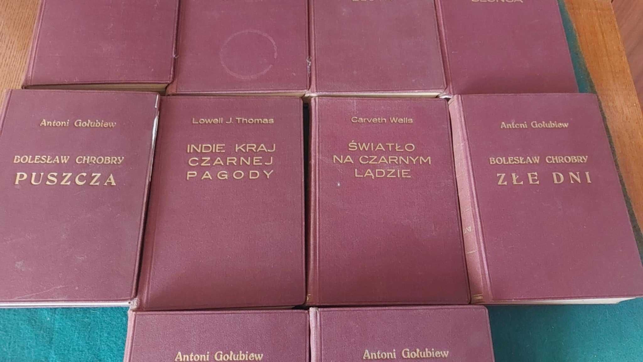 Stare książki –Biblioteka podróżnicza, twarda op