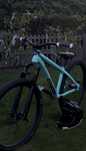 Nsbikes movement z2 custom
