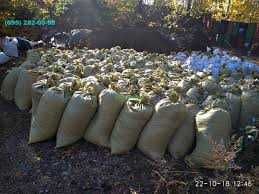 Продам перегній добриво перегной в мішках витриманий