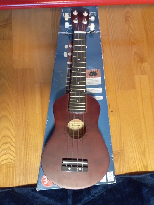 Ukulele mała gitara
