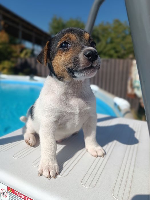 Ах мальчик красавчик Джек