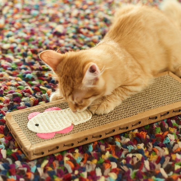 Drapak dla Kota Kartonowy Zabawka Ryba Legowisko 37x12x5 roz poziomy