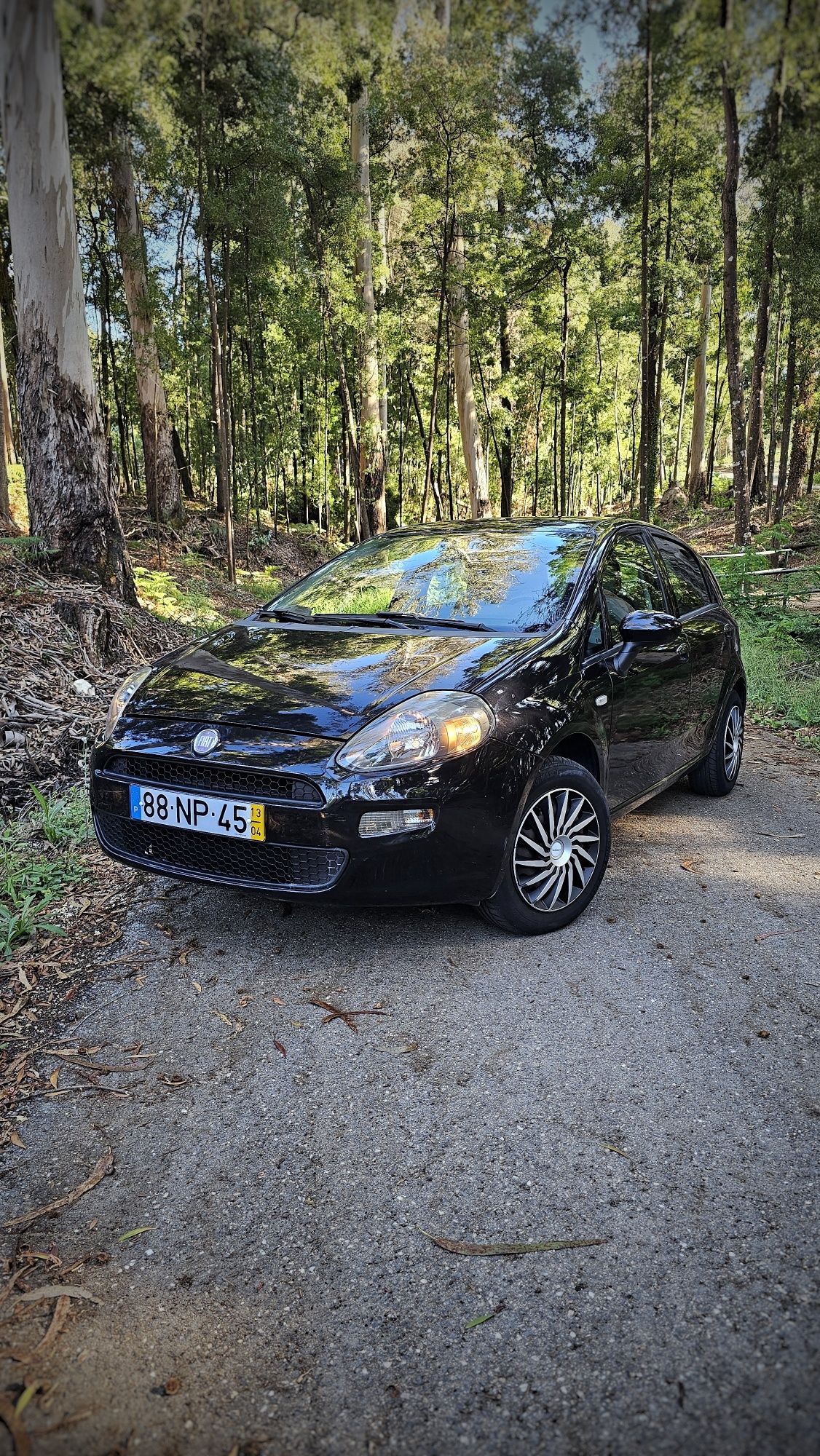 Fiat Punto EVO bi-fuel