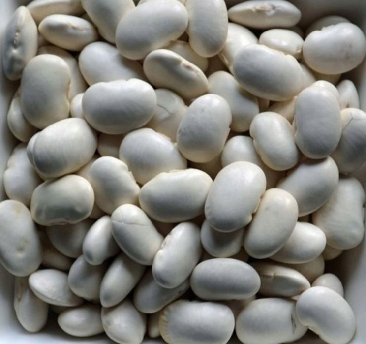 Fasola jaś karłowy 10kg