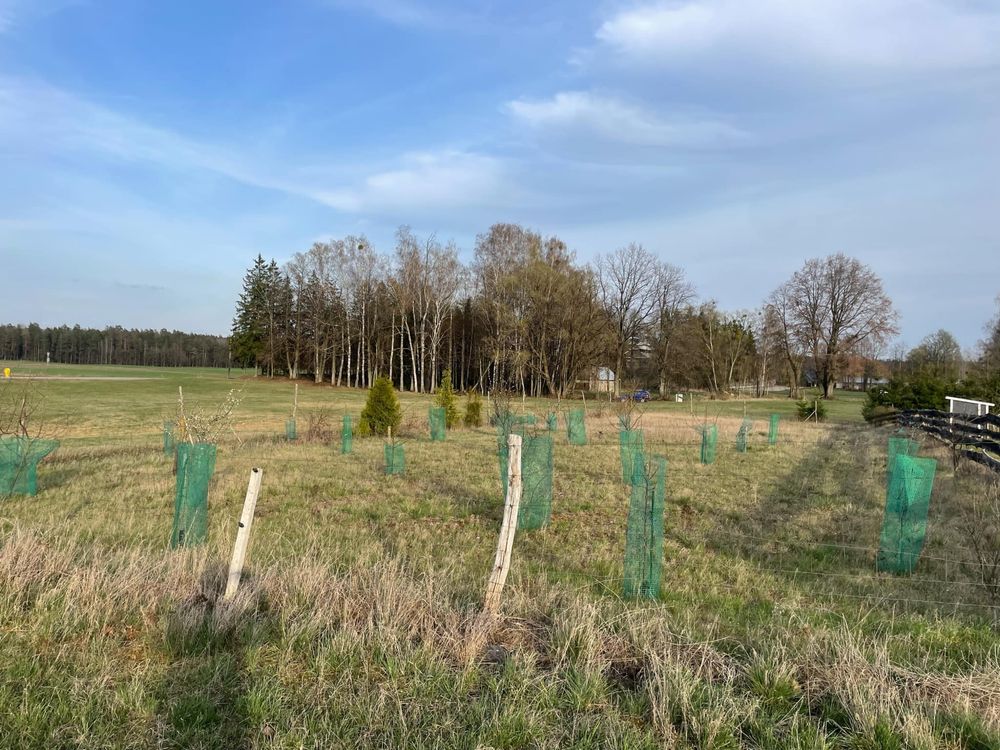 Działka rolno-budowlana
