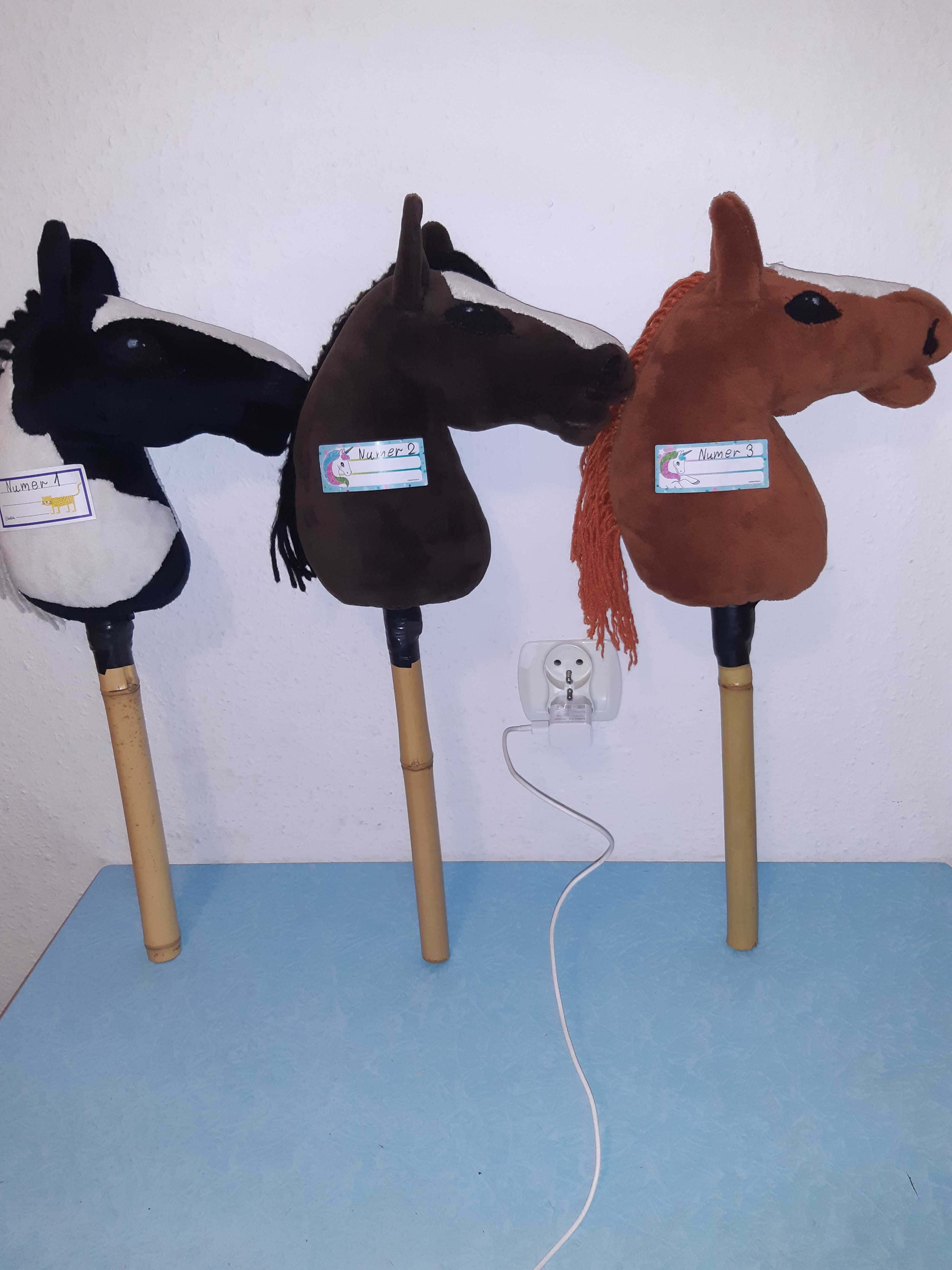 Koniki Hobby horses