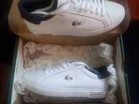 tenis lacoste novos verdadeiros