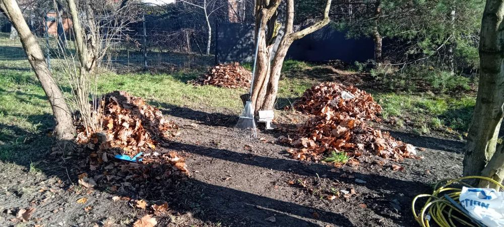 Grabienie liści- Pruszków i okolice.