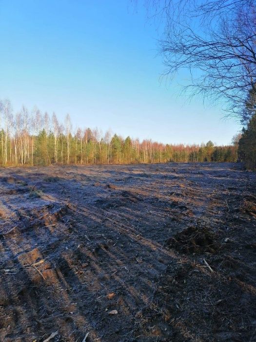 Czyszczenie Działek. MULCZER LEŚNY. Rekultywacja Terenu