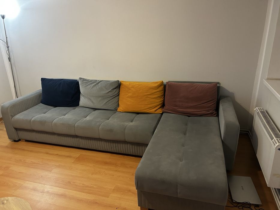 Szara rogówka z salonu Agata